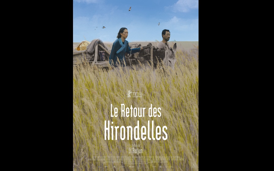 Le retour des hirondelles