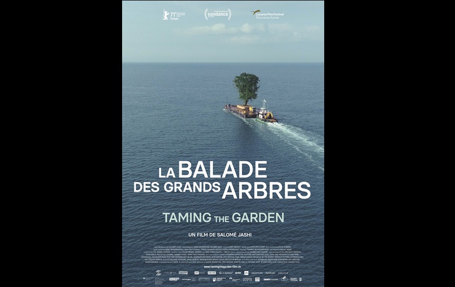 la balade des grands arbres