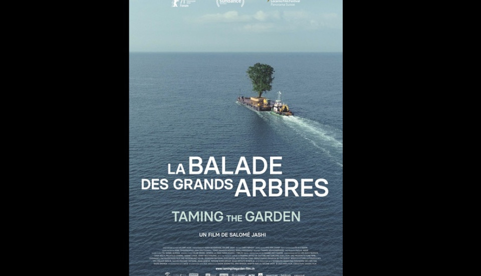 la balade des grands arbres la balade des grands arbres