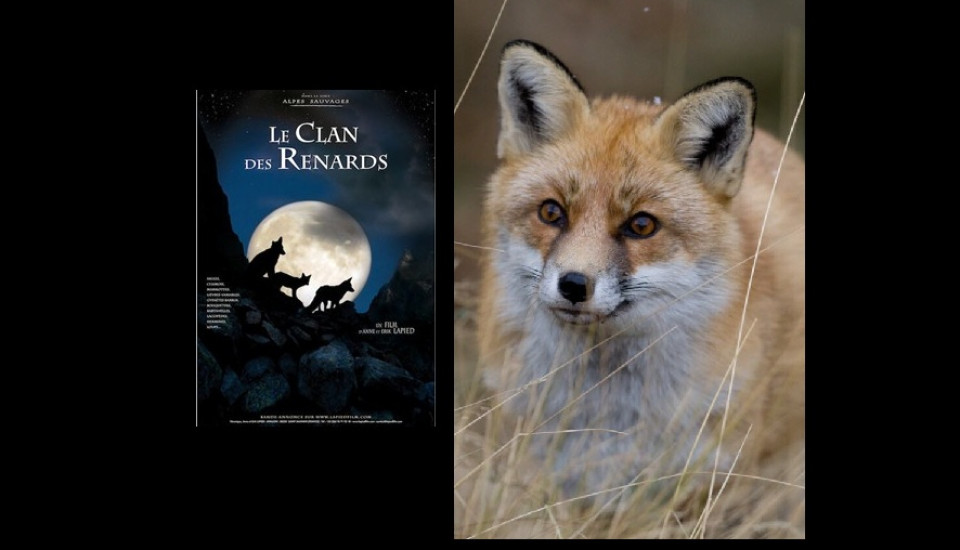 le clan des renards - film lapied